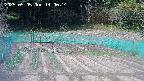 kannonmori-20250505140020.jpg