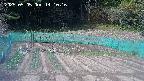 kannonmori-20250505141031.jpg