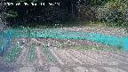 kannonmori-20250505142016.jpg
