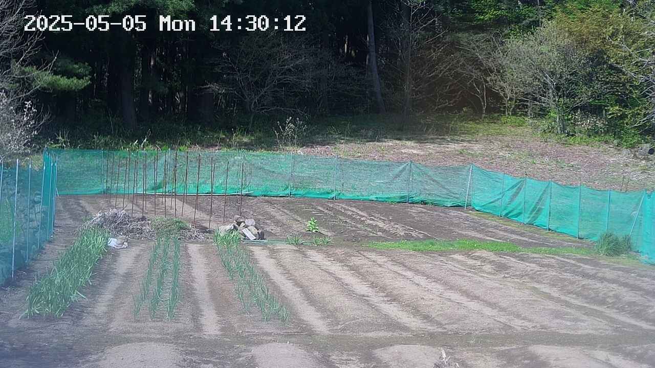 kannonmori-20250505143022.jpg