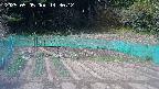 kannonmori-20250505143022.jpg