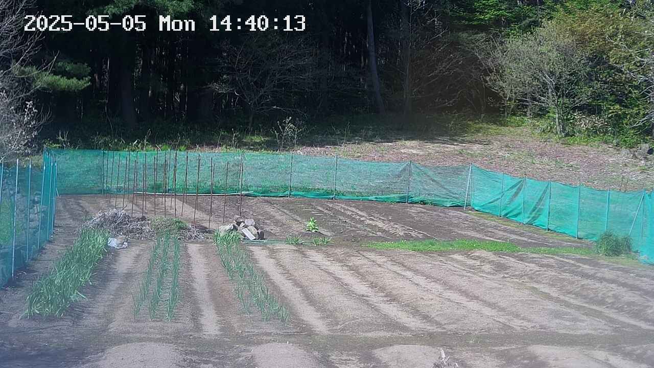 kannonmori-20250505144016.jpg