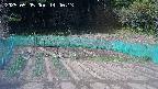 kannonmori-20250505144016.jpg
