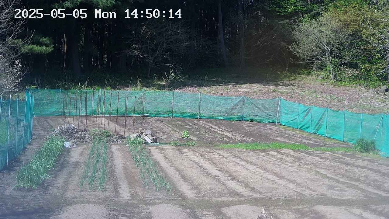 kannonmori-20250505145018.jpg
