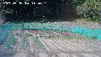 kannonmori-20250505145018.jpg