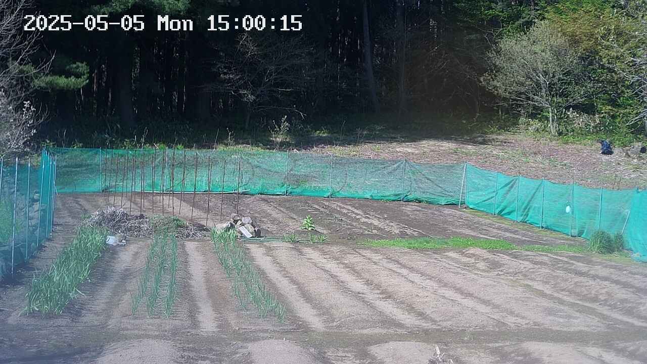 kannonmori-20250505150019.jpg
