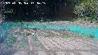 kannonmori-20250505150019.jpg