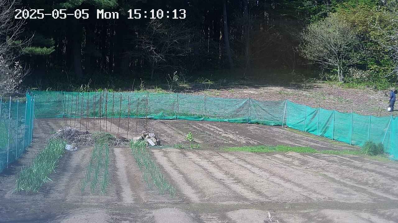 kannonmori-20250505151019.jpg