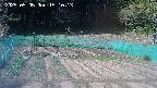 kannonmori-20250505151019.jpg