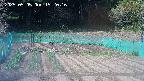 kannonmori-20250505152020.jpg