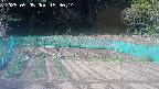 kannonmori-20250505153018.jpg
