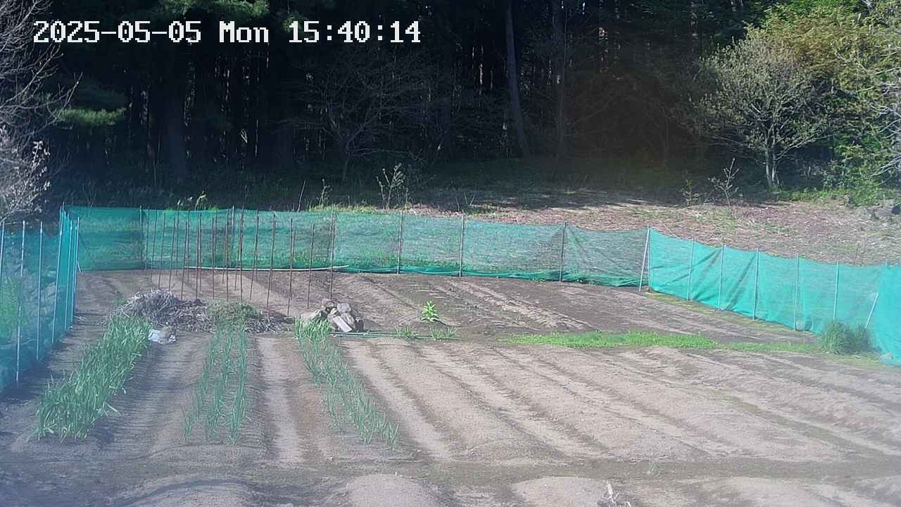 kannonmori-20250505154016.jpg