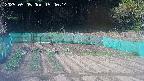 kannonmori-20250505154016.jpg
