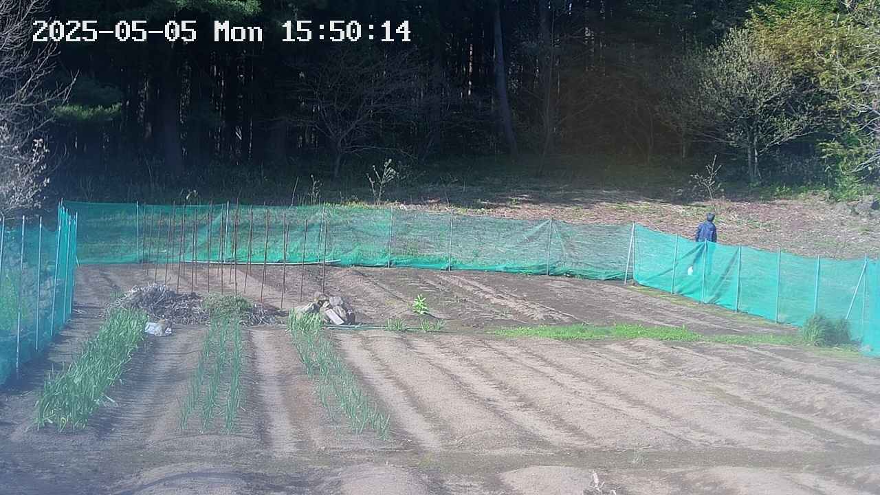 kannonmori-20250505155019.jpg