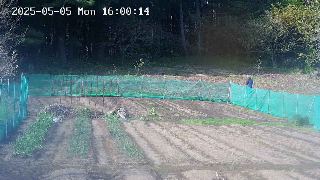kannonmori-20250505160016.jpg