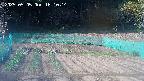 kannonmori-20250505161016.jpg
