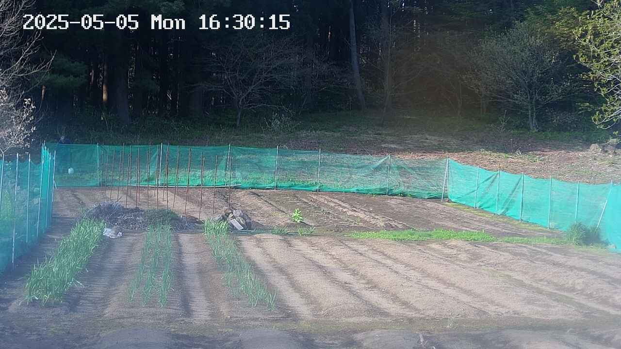 kannonmori-20250505163019.jpg
