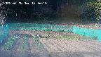 kannonmori-20250505163019.jpg