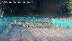 kannonmori-20250505164017.jpg