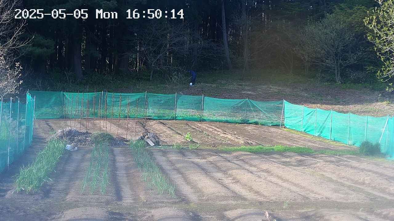 kannonmori-20250505165016.jpg