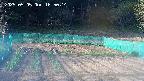 kannonmori-20250505165016.jpg