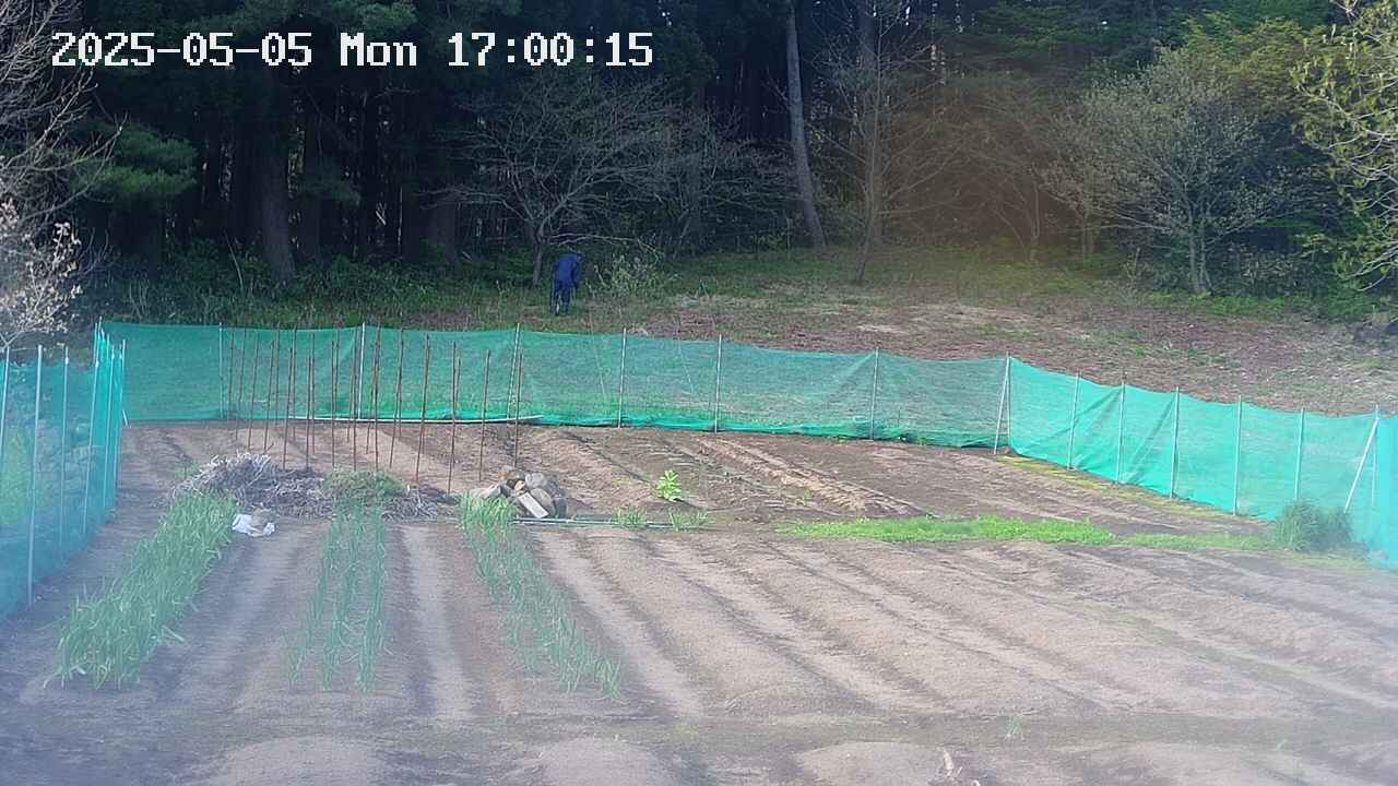 kannonmori-20250505170017.jpg