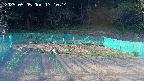 kannonmori-20250505171016.jpg