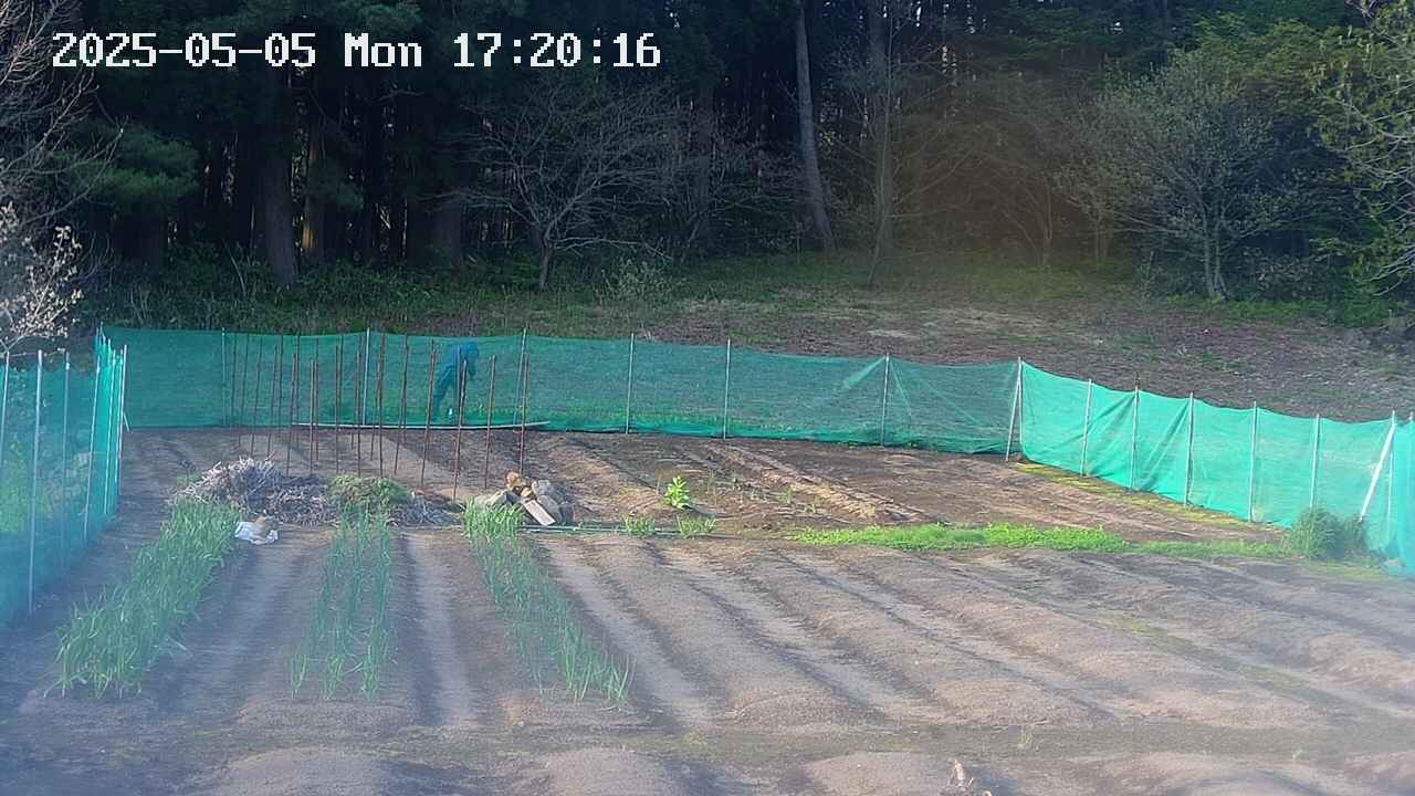 kannonmori-20250505172018.jpg