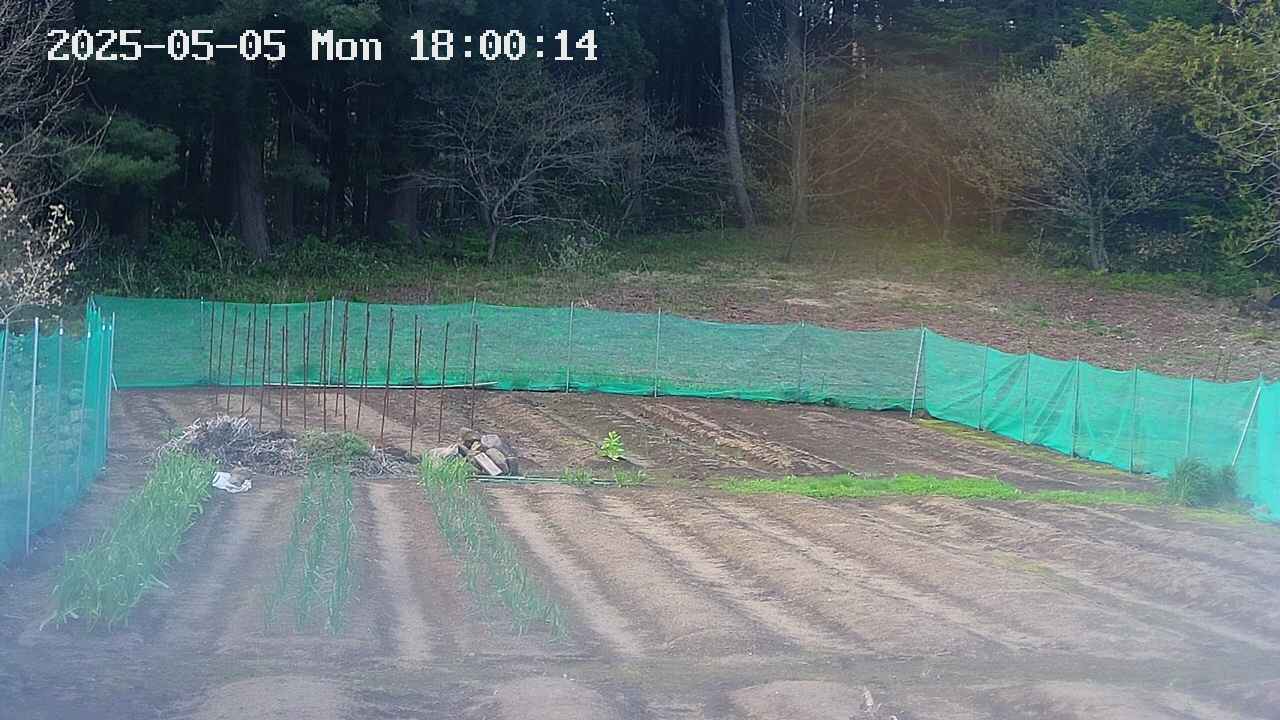 kannonmori-20250505180016.jpg