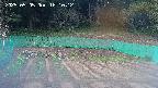 kannonmori-20250505181014.jpg