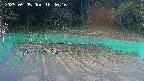 kannonmori-20250505184017.jpg