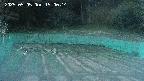 kannonmori-20250505190016.jpg