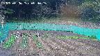 kannonmori-20250506053017.jpg