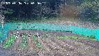 kannonmori-20250506054018.jpg