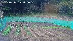 kannonmori-20250506060016.jpg