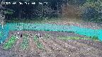 kannonmori-20250506062015.jpg