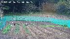 kannonmori-20250506063017.jpg