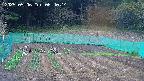 kannonmori-20250506064016.jpg