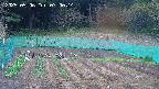 kannonmori-20250506070016.jpg