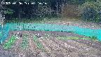 kannonmori-20250506071017.jpg