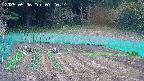 kannonmori-20250506072016.jpg