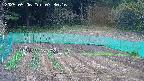 kannonmori-20250506073017.jpg