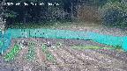 kannonmori-20250506074018.jpg