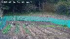 kannonmori-20250506075016.jpg