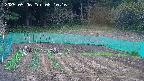 kannonmori-20250506081018.jpg