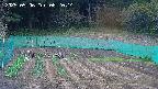 kannonmori-20250506082015.jpg