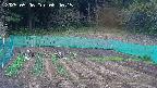 kannonmori-20250506084015.jpg
