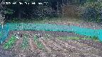 kannonmori-20250506085018.jpg