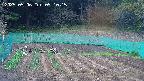 kannonmori-20250506091016.jpg