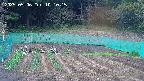 kannonmori-20250506101016.jpg